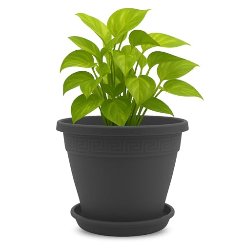 TECHZOCO Macetero con Plato Maceta Redonda