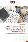 Éditions universitaires européennes