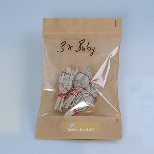 Native Spirit: Räucherbündel Weißer Salbei 3X Baby-Version, ca 8 cm, 20-25 g (3-4 Inch Baby-Smudge-Stick White Sage)