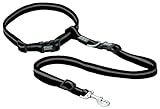 Terrain D.O.G. Jogging Leash, Black