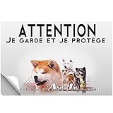 Stick Attention au chien akita inu