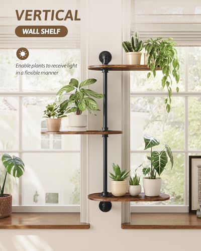 GENTINGBRO Window Plant Shelves 3-Tier Rotating Plant Stand Industrial Window Plant Shelf Wood Wall Mount Decorative Enhanced Indoor Plants Light Exposure Gift Idea for Plant Lovers - Image 5