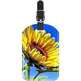 Robust: Der Vockgeng-Gepäckanhänger ist sehr robust und reist über Dutzende lange Strecken an Land und in der Luft, um sicherzustellen, dass er auch in anspruchsvollen Reiseumgebungen Bestand hat. .