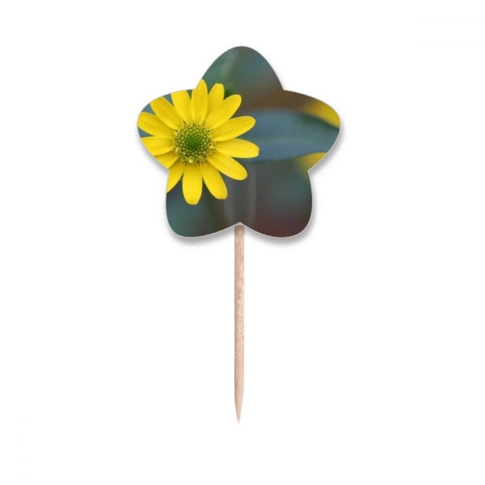 Cure-dents chrysanthème vert avec étoiles et fleurs jaunes pour décoration de table