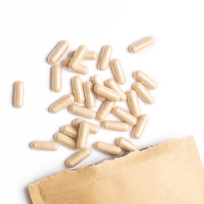 Terra Elements Bio Shatavari Kapseln (400 mg, 150 St) I Indischer Spargel I Pflanzliche Zellulose I 100% rein I Vegan I Rohkost