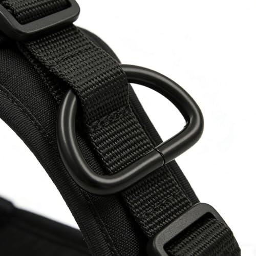 Hebillas en forma de D para correas de cincha negras Wuuycoky accesorios costura 4