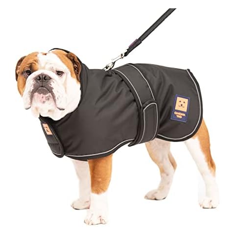 Ginger Ted Waterproof Bulldog Coat size 20"/51cm Black - for medium to large barrel chested dogs, warm fleecy lining, reflective piping, quick fastening, jacket raincoat style Cover