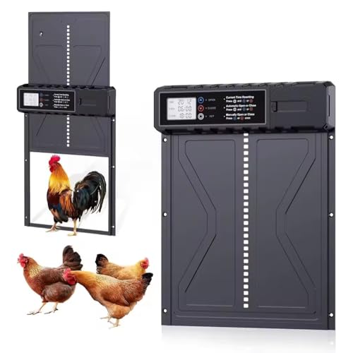 NEWFUN Puerta Gallinero Automatica, Aleación de Aluminio, Gallinero Automático con Pantalla Grande Resistente al Agua, Temporizador, Protección Inteligente contra Atrapamientos