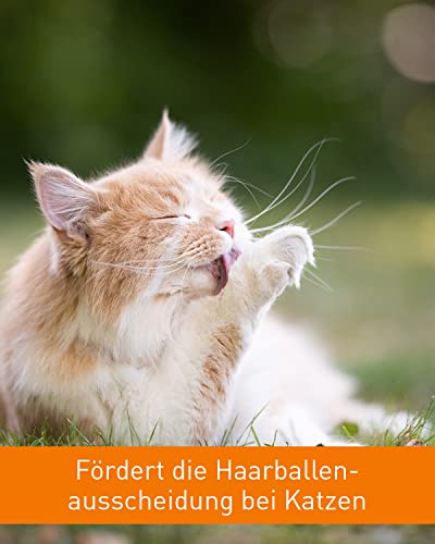 Malzpaste für Katzen – Vetoquinol Bezo-Pet Paste 120g