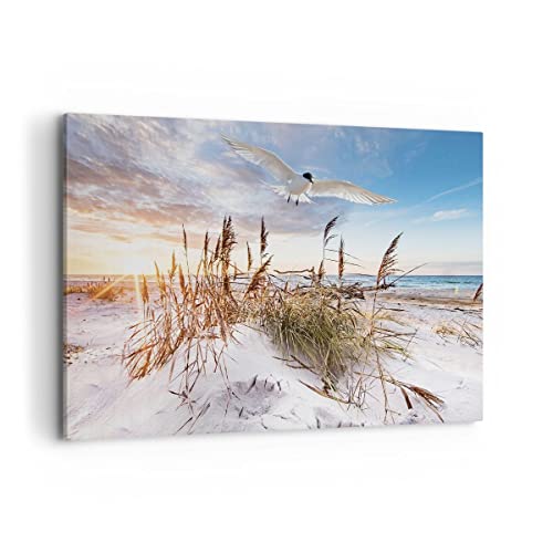 Tableau mouette mer 120x80cm cadre de décoration moderne horizontal pour salon
