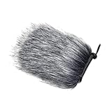 LeeQinersw
