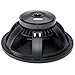 B&C 15PLB76 15" Professional Woofer 8 Ohm