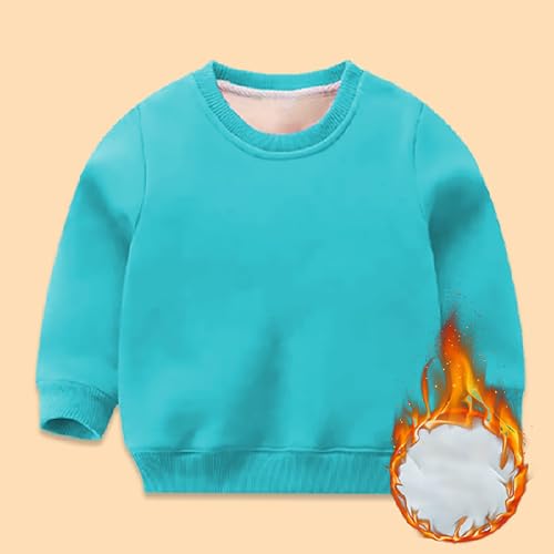 Youth Kids Fall Sweater Long Sleeve Pullover Sweatshirts Boys Girls Solid Thick Crew Neck Pullover Tops Warm Casual2