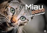  Miau - nuestros gatos domésticos - el calendario del gato - 2022 - calendario DIN A3