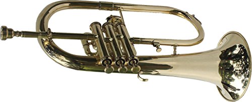 SALE BRAND NEW BRASS Bb FLUGEL HORN+FREE CASE+MOUTHIPICE+FAST SHIPPING