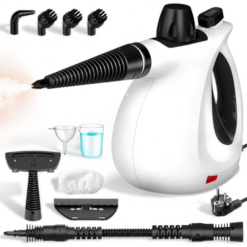 Limpiador de vapor portátil