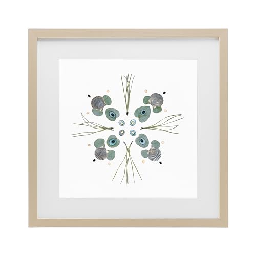 Seashell Leaf Symmetry Botanical, 13 x 13 Inch Framed Print Under Glass
