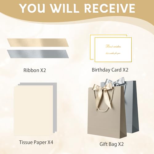 Image of JMANNI Gift Bag, 2PCS Gift Bags with Ribbon and 2 Greeting Cards 4 Tissue Paper, Portable Paper Gift Bag with Handles, Birthday Gift Bags,Present Bags for Wedding Party Mothers Day (Champagne silver)