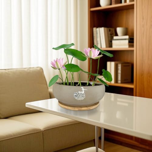 50% Off MUZHI Ceramic Hydroponic Lotus Planter Pot with Bamboo Tray - Image 5