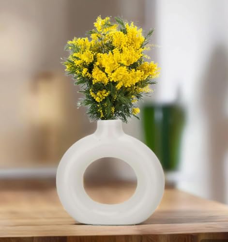 Image of BENAVJI Ceramic Vase for Home Decor Centerpiece for Living Room, Bedroom, Dining Table & Office (White Ring Vase, 6 Inch)