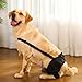 Dog Recovery Sleeve - Hip Brace for Dogs, Dog Sleeve Recovery | Dog Leg Support Brace, Rear Leg Knee Brace, Pet Leg Wounds Protector, Hip Joint Support, Protect Wounds for Small, Medium Dogs