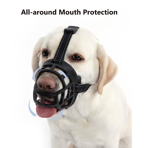 https://m.media-amazon.com/images/I/41wcgO8YbZS._SL500_.jpg