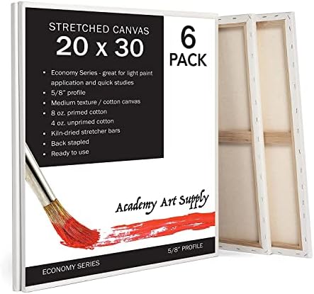 Academy Art Supply Stretched Canvases 20 x 30 inch - 100% Cotton Artist Blank Canvas for Painting, Pre-gessoed, Primed, Acid-Free Canvases, Perfect for Acrylic and Oil Painting, Pack of 6