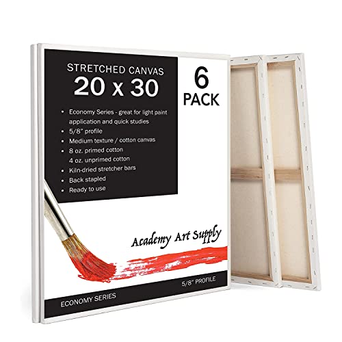Academy Art Supply Stretched Canvases 20 X 30 Inch - 100% Cotton Artist Blank Canvas For Painting, Pre-Gessoed, Primed, Acid-Free Canvases, Perfect For Acrylic And Oil Painting, Pack Of 6 #TOP16
