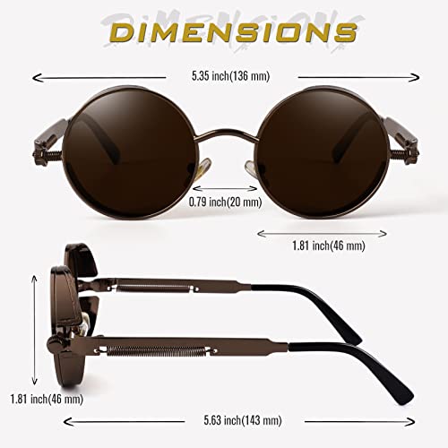 Image of GQUEEN Retro Round Circle Steampunk Sunglasses Polarized Metal Alloy for Women Men MTS2