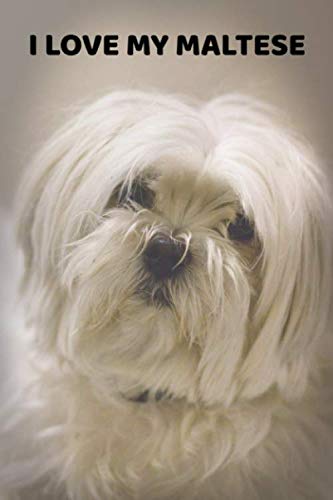 I Love My Maltese: A 6x9 Lined Notebook, Journal Gift for Maltese Lovers and Dog Lovers