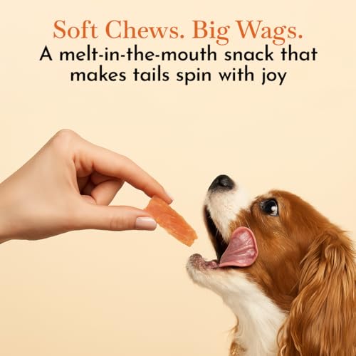 Image of Pets Empire O'Dog Soft Chicken Jerky Treat for Dogs (100gm)| Fully Digestible, Natural Delicious and Healthy Treat | Natural Puppies & Adult Dog Treat | No Artificial Colours or Preservatives