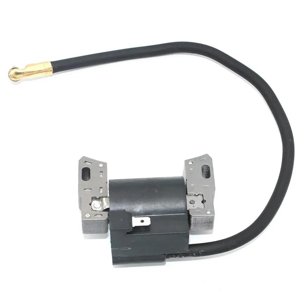 Bobina de encendido para solucionar problemas de arranque en motores 591420 y 793352