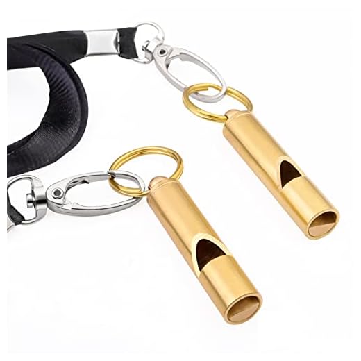 jrceliy 2PCS Emergency Whistles with Lanyard Hiking Whistle,Premium Solid Brass for Outdoor Camping Hiking Boating Hunting Fishing Kayak Kids Rescue Signaling Loud Survival Whistle
