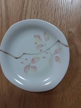 Amazon | たち吉 万葉 取り分け皿 （大皿1枚小皿5枚） | ノーブランド