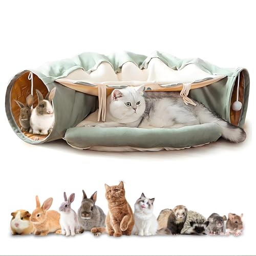 Tunnel pour Chat avec Espace de Couchage, Grotte Interactive pour Chats avec Balle Suspendue, Lit Amovible et Jouet pour Chaton Aire de Jeu pour Chaton,...