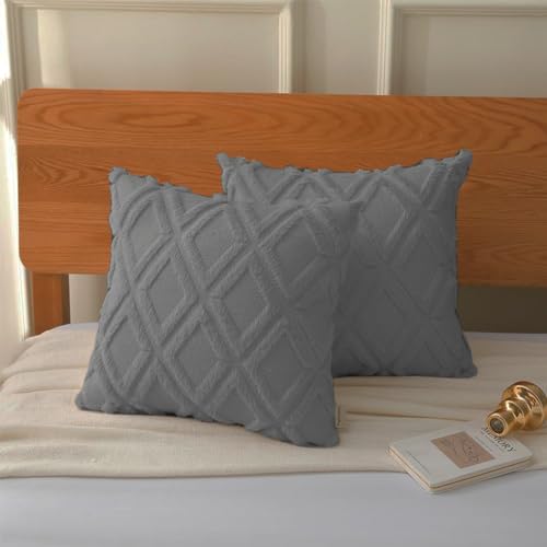 Pagnanno. Set of 2 & 4 Soft Velvet Cushion Covers 45x45cm(18x18 Inches) D8 Throw Pillowcases Square Covers for Chairs,living room,bedroom Invisible Zipper (45x45cm (18x18inch)