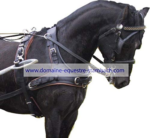 IDEAL EQUESTRIAN Harnais Collier Bricole en Paire - Cheval, Noir