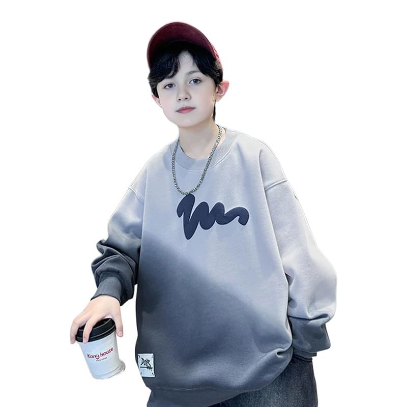 Lucky Friday Boys Grey Full Sleeves Sweatshirt