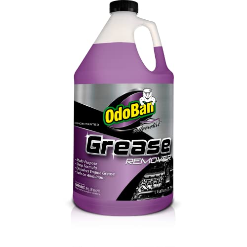 Top 10 Best Grease Remover For Engine Reviews & Buying Guide Katynel