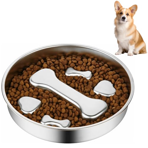 Antischlingnapf Hunde Edelstahl - Anti Schling Napf Hund Ø22cm Slow Feeder aus 304 Edelstahl, Metall Schlecknapf für Schnelle Esser, Spülmaschinengeeignet & Langlebig, für mittelgroße Hunde