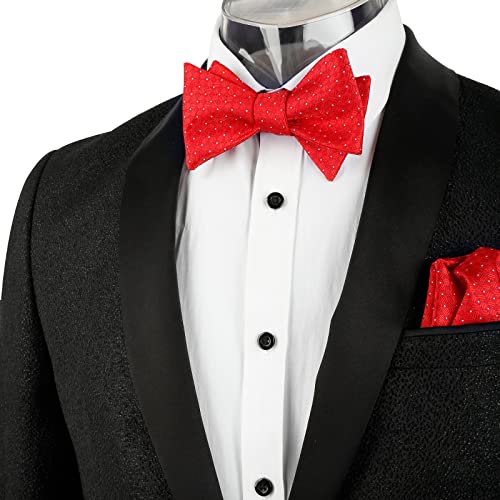 Image of Alizeal Mens 2pcs Solid Self-tied Bow Tie Set