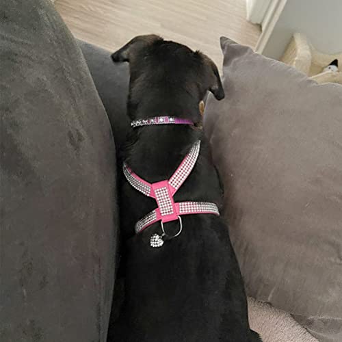 Expawlorer Dog Harness Genuine Leather Soft Padded Pet Sparkly Rhinestone Vest With Heart Pendant For Puppy Cat, Pink #TOP6