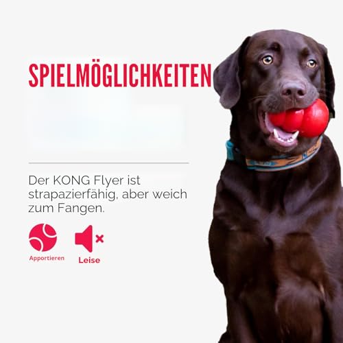 KONG Flyer - Langlebiges Outdoor Hundespielzeug - Wurfscheibe aus Naturkautschuk zum Apportieren - Für Kleine Hunde