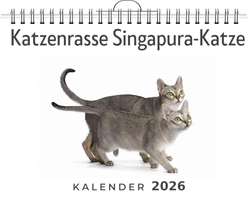 Katzenrasse Singapura-Katze: (Wandkalender 2026, Kalender DIN A4 quer, Monatskalender im Querformat mit Kalendarium, das perfekte Geschenk)