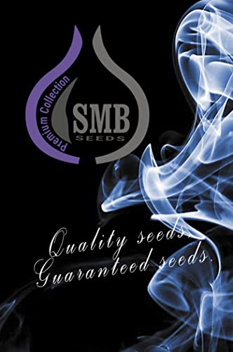 Originele 5x SmB Auto Fem WhiteWidow XL.