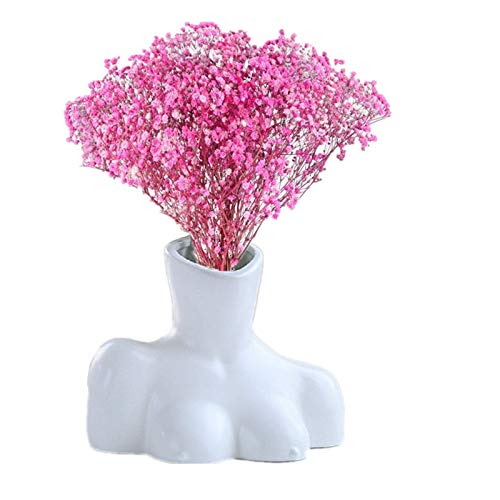 Darklove, Body Vase Female Form Vase, Flower Ceramic Vase, Modern Art DÃ©cor for Home Office DÃ©cor, Boho DÃ©cor, Sculpture Vase(White)