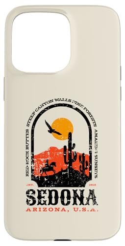 Zhi A]i USA i  R AeB[N fUC X}zP[X iPhone 15 Pro Max p