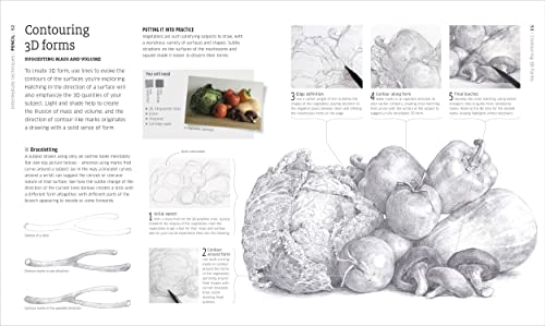 Image of Artist's Drawing Techniques: Discover How to Draw Landscapes, People, Still Lifes and More, in Pencil, Charcoal, Pen and Pastel