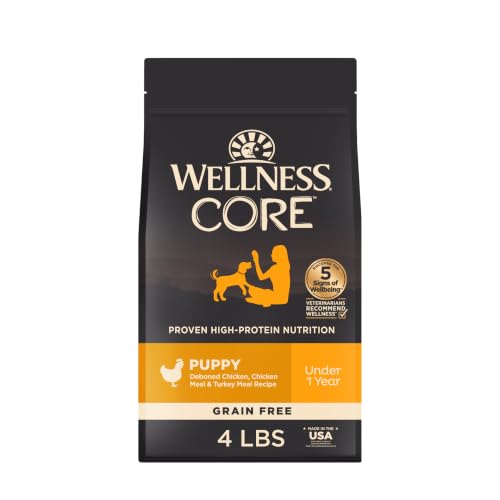 Wellness CORE Puppy Dry Dog Food, Grain Free Kibble, Natural, High Protein, Chicken and Turkey Recipe, 4 lb Bag - image 1