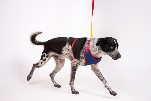 Freefaro - Peitoral Air Recreio - Tam.M